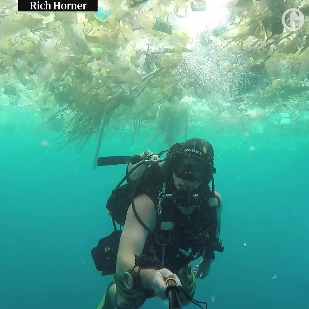 THIS is happening to our oceans!! I´ve seen reefs like this one as well! It is vital for us to take action and do something to avoid so much waste in our oceans. #DiveAgainstDebris #ProjectAware #GreenFins 
buff.ly/2FDxota