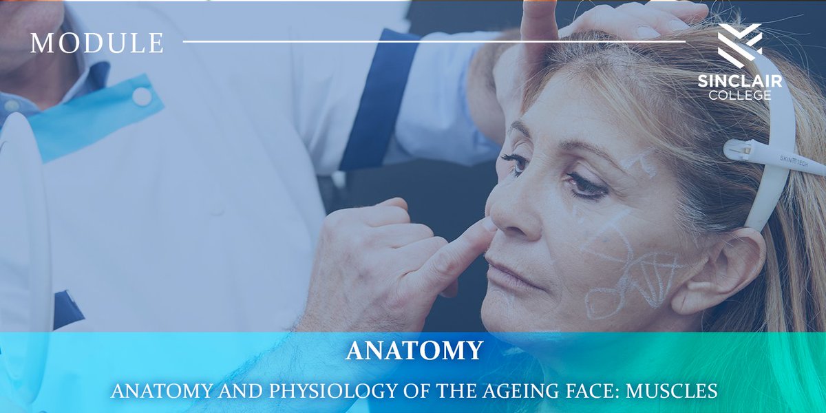 SinclairColl's tweet photo. Dr. Pierre Nicolau shows the structural and morphological changes involved in all the tissues during ageing process in his three anatomical videos at the Sinclair College. Find out more here; https://t.co/eeMxsStGxm https://t.co/tzYpOUJHaH