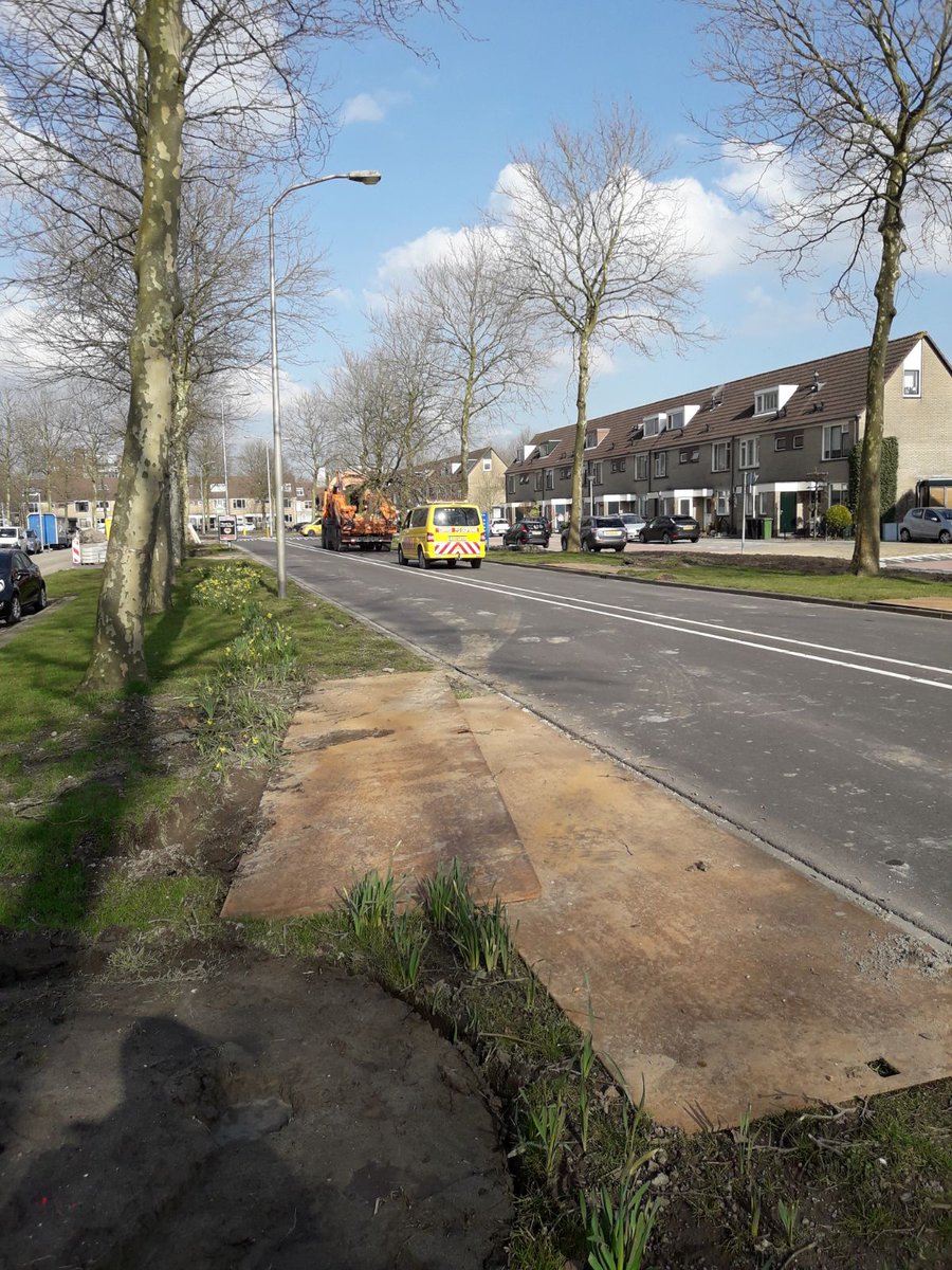 jankoelstra's tweet photo. Verplanten van Platanen in @gemeenteWveen met verplantmachine #optimal3000 door @btlbomendienst https://t.co/Gs3KfzwTzv