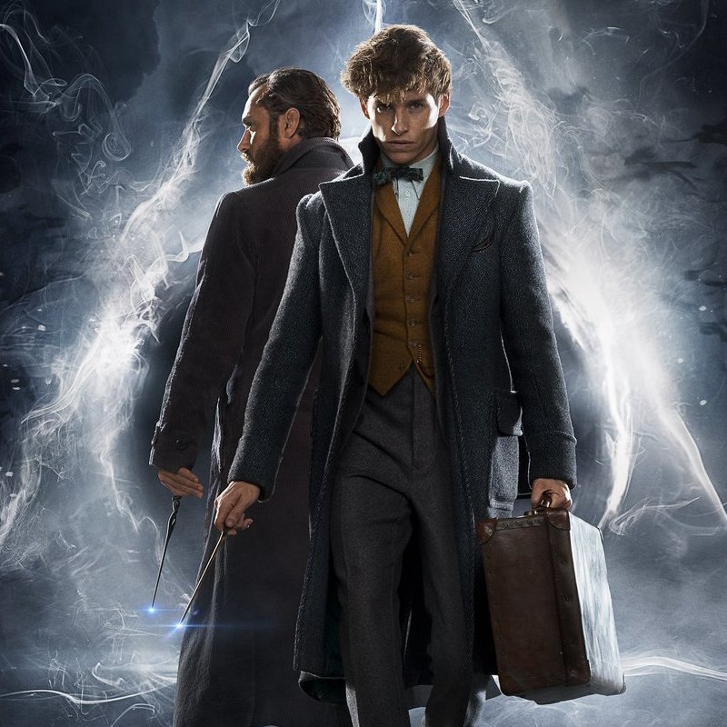 thiegonovais's tweet photo. Posso soltar aqui uma polêmica? Vamos lá.

Os filmes de "Animais Fantásticos" me deixam mais ansiosos do que os de Harry Potter, pois querendo ou não, em Harry, nós já sabíamos tudo que ia acontecer. Nessa nova franquia, tudo é novidade, tudo é surpresa, tá foda. https://t.co/6DK5V9SMe6