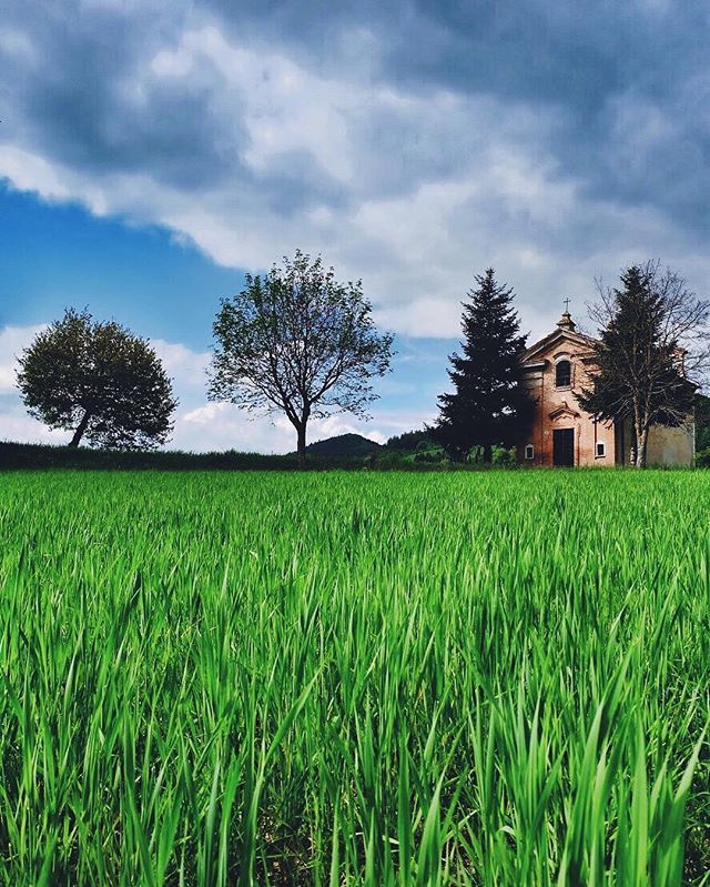 piccinaccia's tweet photo. Ho sempre pensato che il verde sia un colore ingenuo, che parli la lingua dei bambini e che sia incline al sorriso. .
.
.
.
.
#igersmarche #visitmarche #spring4igers #marchetourism #ig_italia #whatitalyis #browsingitaly #Ilikeitaly #igersitalia #guardian… https://t.co/GcmgC80Oih https://t.co/4p2F6ijxIq