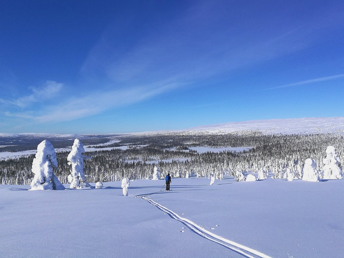 MaaretVaananen's tweet photo. "Vapaa vain on umpihanki"🎿Moni #kansallispuisto tarjoaa mahtavat mahdollisuudet myös omille laduille✌Seuralaiseksi kannattaa ottaa vaikka #OACKar #karvapohjasukset🎿 Niitä voi vuokrata monesta paikkaa tai lainata @Partioaitta #365klubi #pallasylläskansallispuisto 💚 https://t.co/mMwO0v4cE6