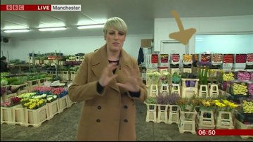 SupremeSel's tweet photo. We were on @BBC yesterday! The BBC Breakfast show from yesterday was filmed at one of our UK customers. Take a look at our germini's, from our preferred suppliers @HolsteinFlowers Jac. Oudijk and Zwarts Gerberakwekerij. https://t.co/bZwQsIzCAS