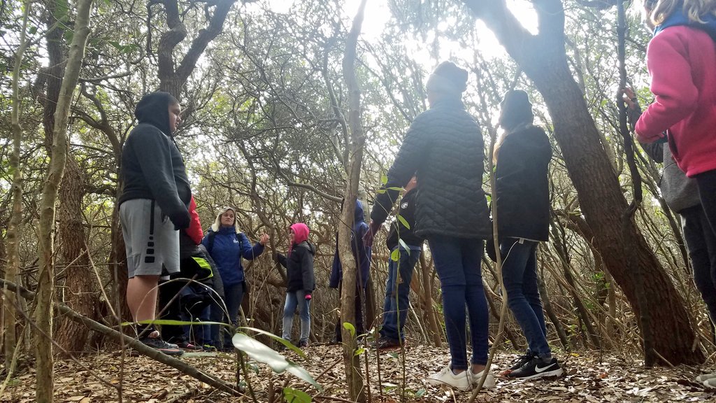MissSotosclass's tweet photo. We started our last class meeting Maze 🐍 and then learning about the maritime forest 🌳
#SoundToSea #outdoorsSeabees #learningaboutnature @Smith_Seabees https://t.co/J60x92wvWe