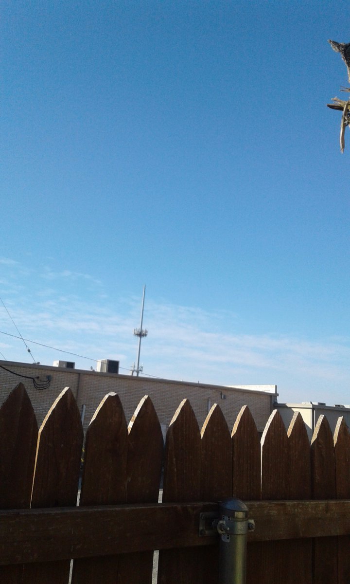 Redirect2learn's tweet image. As much as I hate looking at this since a storm blew away half my tree, now that im moving, imma be missing my spot next to glass doors, watching my stray cats eat and the fresh air.  I move into the unknown 3/29.