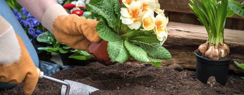 asda's tweet photo. Get out into the garden and make yours the most beautiful of them all with these top tips: https://t.co/2ApLJSacEE #goodliving 🌺🌸 https://t.co/bCrhYPrvHx
