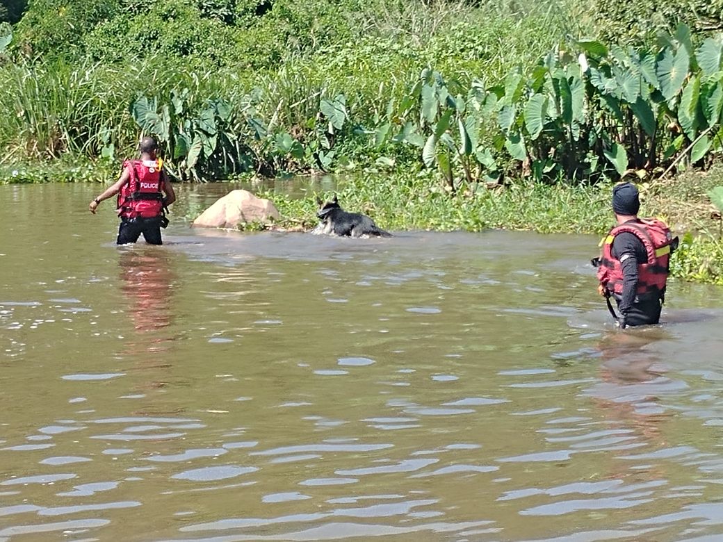 SAPoliceService's tweet photo. #sapsKZN #SAPS divers from DBN &amp; PMB SAR along with #K9 SAR were called to Marianhill earlier today. A boy (14) drowned in the Umlazi River yesterday. A dive operation was conducted after K9Bear &amp; K9Ghost indicated an area where the victim had drowned. The body was recovered. SW https://t.co/KVb10DIVzc
