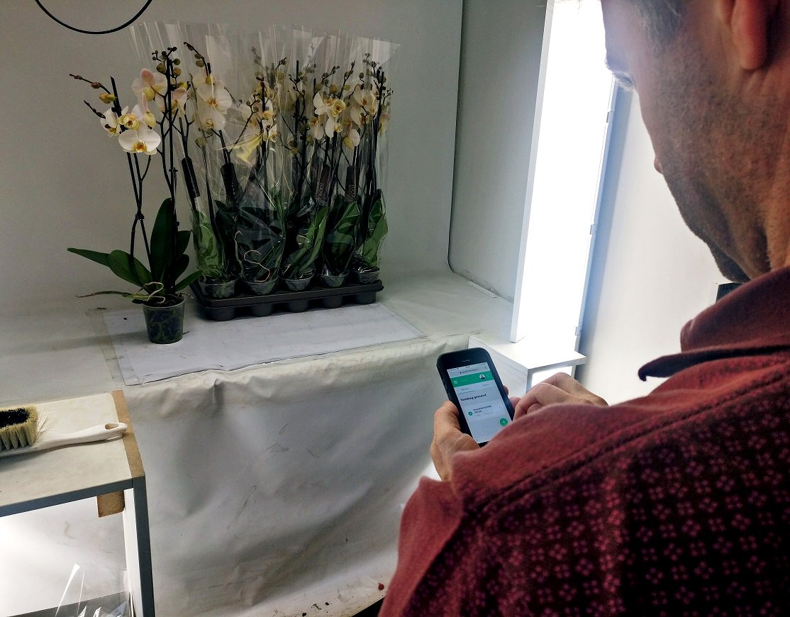 Deze week zijn wij bij kwekerij Phalaenova langsgeweest voor de eerste user test van de app voor partijfoto's. 

Het was een hele interessante sessie, <a href="/phalaenova1/">Phalaenova Unlimited Colours</a> bedankt!
