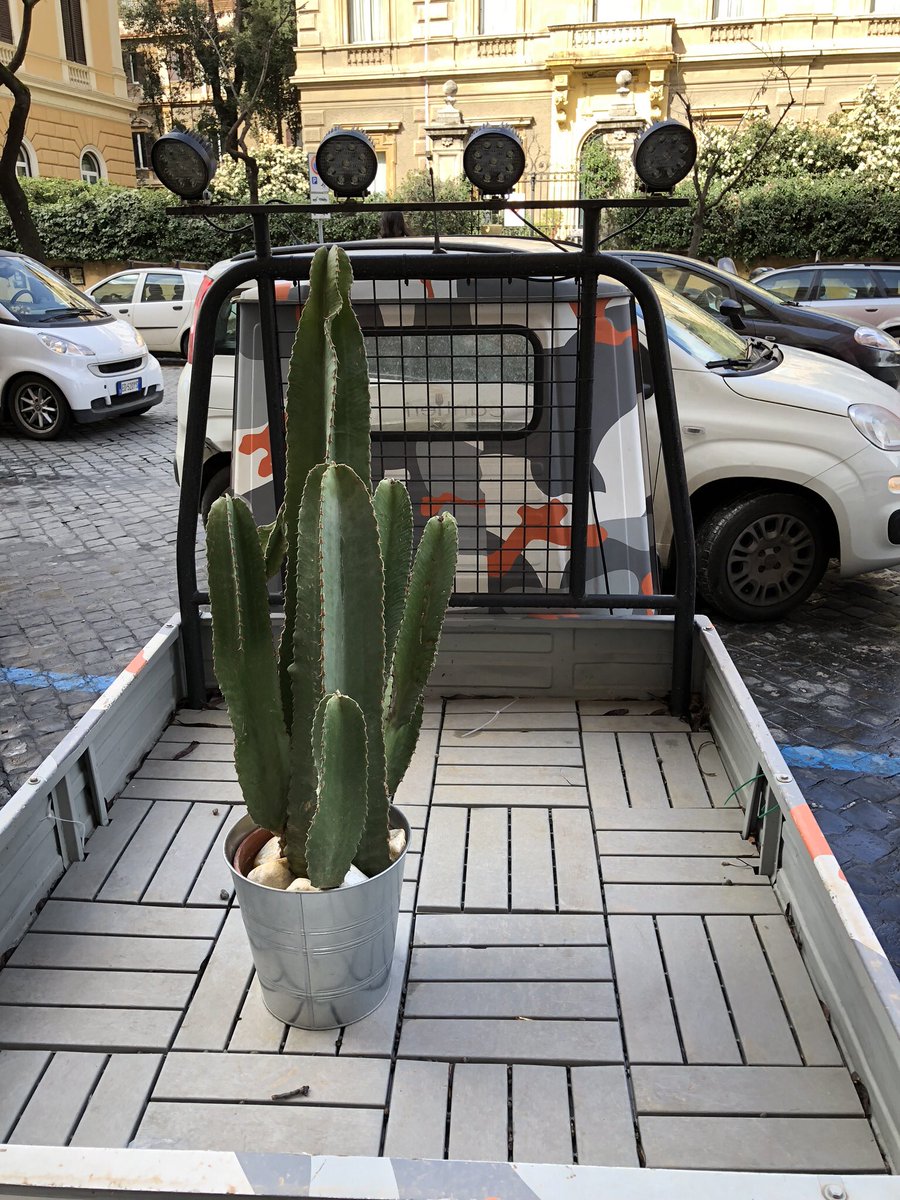 KristianVdC's tweet photo. All fan of the cactus. Ready for delivery. #italy #rome #🌵#cactus #truck #tuktuk #delivery #rapid #service #decoration #deco #hype #nohype #in #undergreen #citylife #cool #city #green #cool #soldout #cantieri #bistrot #top https://t.co/vNB6i0v8ce