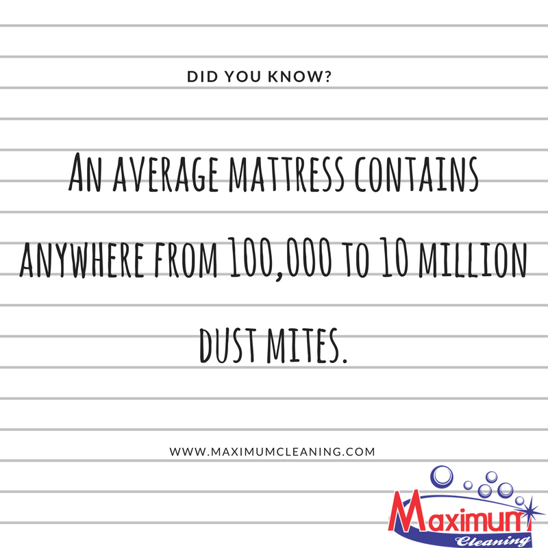 It's important that we change our mattresses regularly to avoid skin rashes, infections or other diseases caused by dust mites and dirt.

#CleaningFacts #MaximumCleaning #CleaningServices