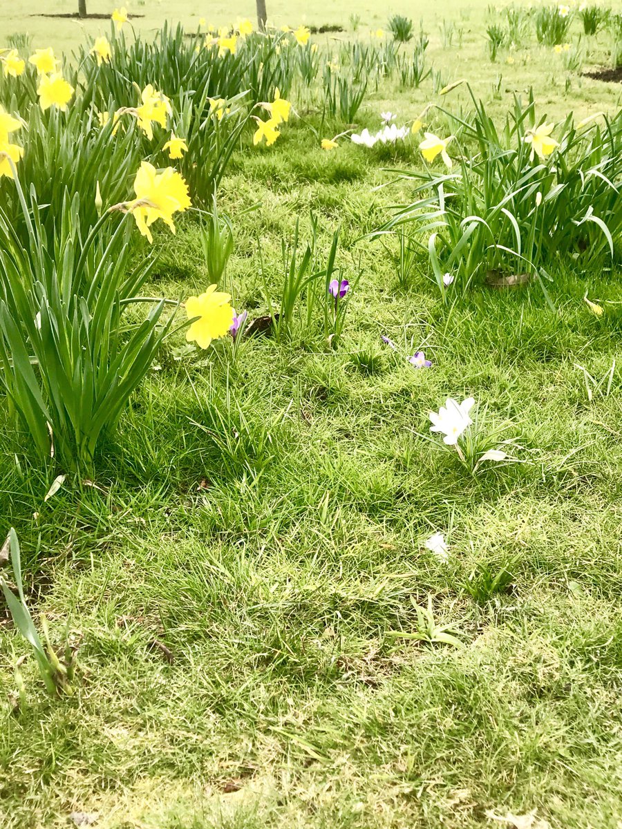 1stSimona's tweet photo. ... like I’m walking on water 🦆🕊 🌾 in #KensingtonGardens
#London #visitlondon #March2018 #LondonIn4 https://t.co/6neAKEs0Hr
