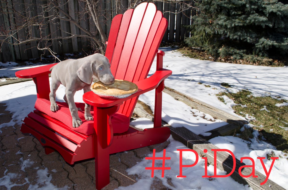 BrokerGreg's tweet image. It's Pi Day!
#Celebrating with my #puppy #dog "MUSKOKA" 
#PiDay #PiDay2018 #Mathematics #Weim #dogsoftwitter #Muskoka #MuskokaChair #BlueEyes