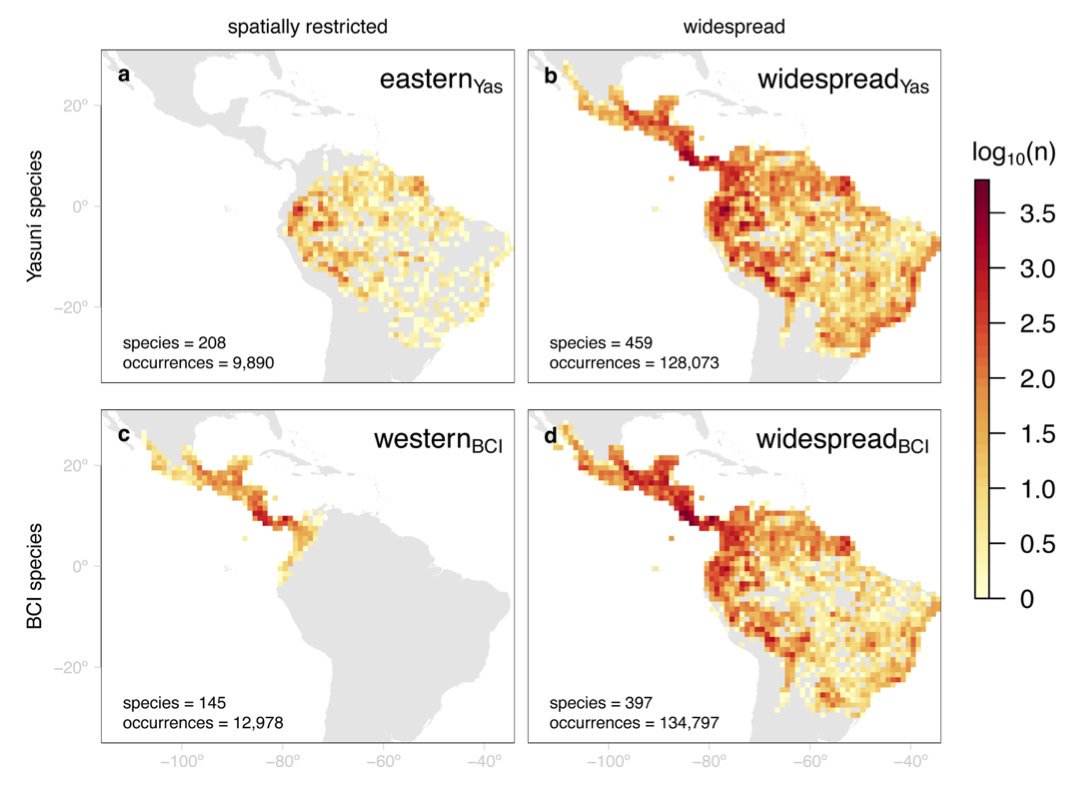 cienciapuce's tweet photo. El papel de los #Andes en la dispersión de especies de #plantas en los bosques húmedos #neotropicales. Una investigación colaborativa que tiene a Renato Valencia, investigador de @PUCE_Ecuador como coautor. #Yasuní @INABIO_EC @Ambiente_Ec @Ciencia_Ec https://t.co/OCqY64UBrH https://t.co/6gN84HJBXs