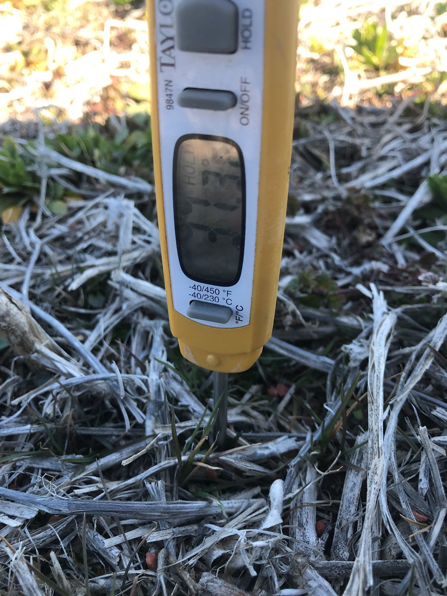 MOagMefford's tweet photo. 37.3 degrees soil temp in West Central MO. Don’t get to crazy on planting corn just yet! #croptrak https://t.co/pSOuritbuw