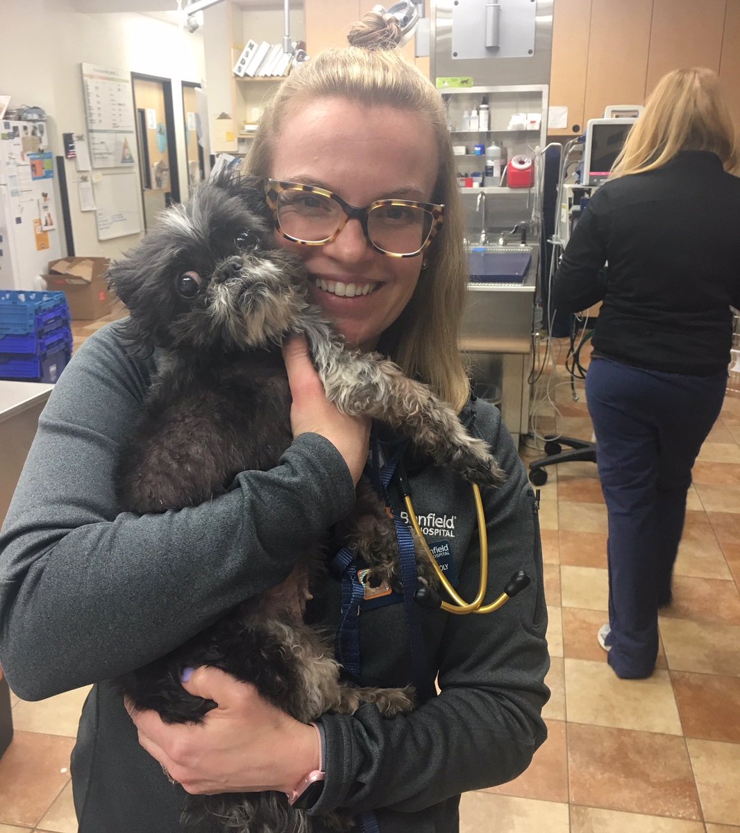 PDXTbird's tweet photo. #DYK one of @Banfield's great benefits is free Optimum Wellness Plans for three of your pets? Message me to learn more about this great benefit and many others we have to offer you! https://t.co/Nj4kcWGgju