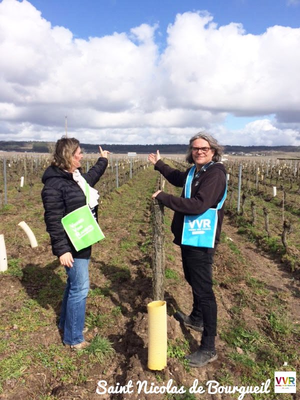 vvrvaldeloire's tweet photo. Découvrez les coulisses des repérages de chacune des randonnées de #VVR2018 ! Avec les vignerons des @vinsdeloire, nous définissons les tracés et points d'arrêt des parcours que vous emprunterez les 1er &amp; 2
septembre 2018 ! 😉 #Chinon #SaintNicolasDeBourgueil https://t.co/yHFzvSTFlG