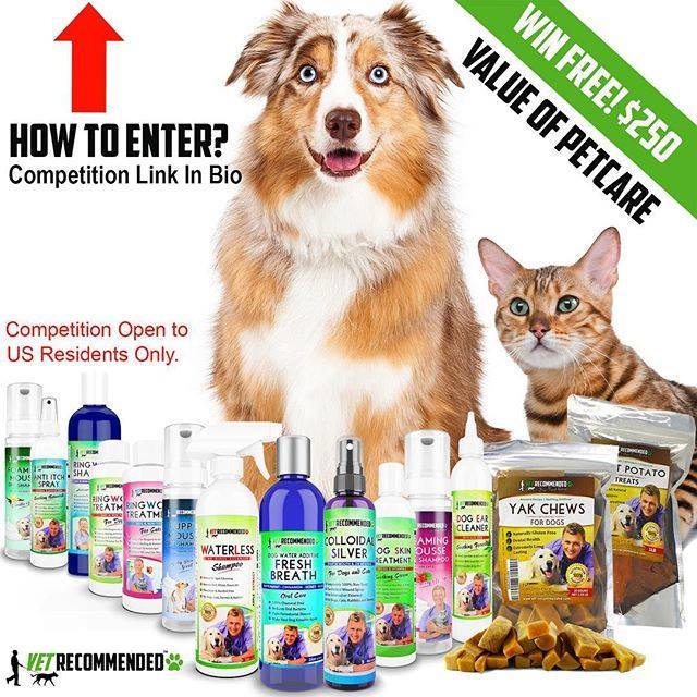 Vet_Recommended's tweet photo. ✨ GIVEAWAY Time ✨ Get a chance to win $250 worth of Pet Care Products from @Vet_recommended! Surprise your beloved pet! 🐶🐱🐾 Click the link in our bio 👆 to enter to WIN this awesome giveaway! 🎁 Contest ends on 1st April 2018! Sorry US Residents On… https://t.co/9ncWpGU7sX https://t.co/1H5uPimrbC