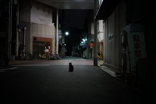 archillect's tweet photo. https://t.co/h5PBnc5geP