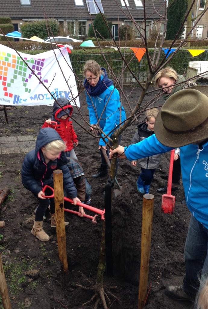CUHouten's tweet image. In het kader van @Boomfeestdag hebben we als @CUHouten een fruitboom geschonken aan  #basisschoolHetMozaïek. We moedigen hen graag aan om Eco-school te worden!