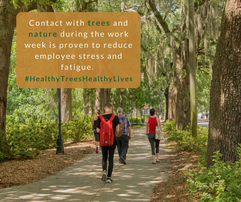 Stressed at work? Find out about how urban forests promote healthy workplaces: bit.ly/2FS7C4v  
#WellnessWednesday #HealthyTreesHealthyLives