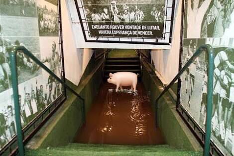Mayyquin10's tweet photo. Jogador do coritiBa subindo para o aquecimento nesse momento. https://t.co/zB0LgTUhIm