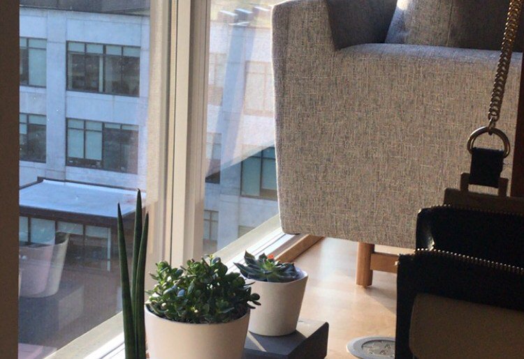 11 Things To Do This Weekend Instead of Writing Code (hanging out with plants while applying a face mask encouraged) bit.ly/2HbxHsr