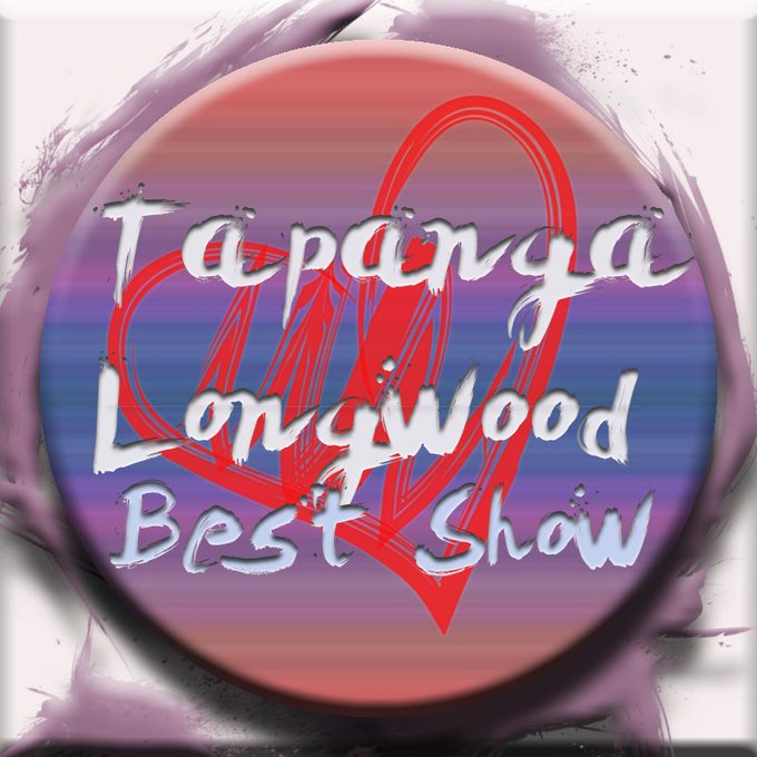 thank you so much for this little award and thank you you to everyone who has made my comeback a hit<a href="/tag/blackfriday"class="tags"><span>#blackfriday</span></a><a href="/tag/nsfw"class="tags"><span>#nsfw</span></a><a href="/tag/cybermonday"class="tags"><span>#cybermonday</span></a><a href="/tag/blackfridaydeals"class="tags"><span>#blackfridaydeals</span></a>