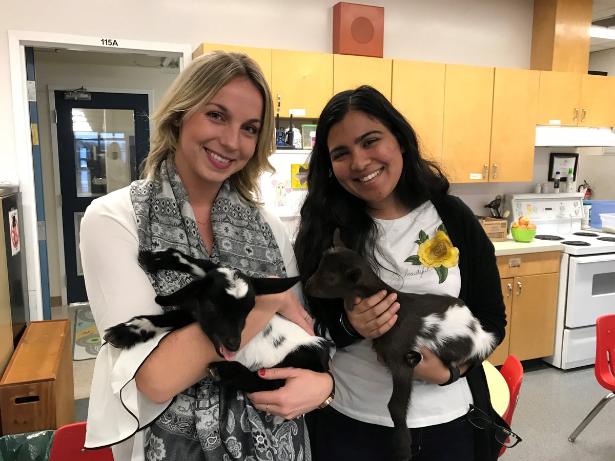 CPark_Panthers's tweet photo. Our practicum teachers enjoying some snuggles with the baby goats <3 https://t.co/SKNhynBpAq