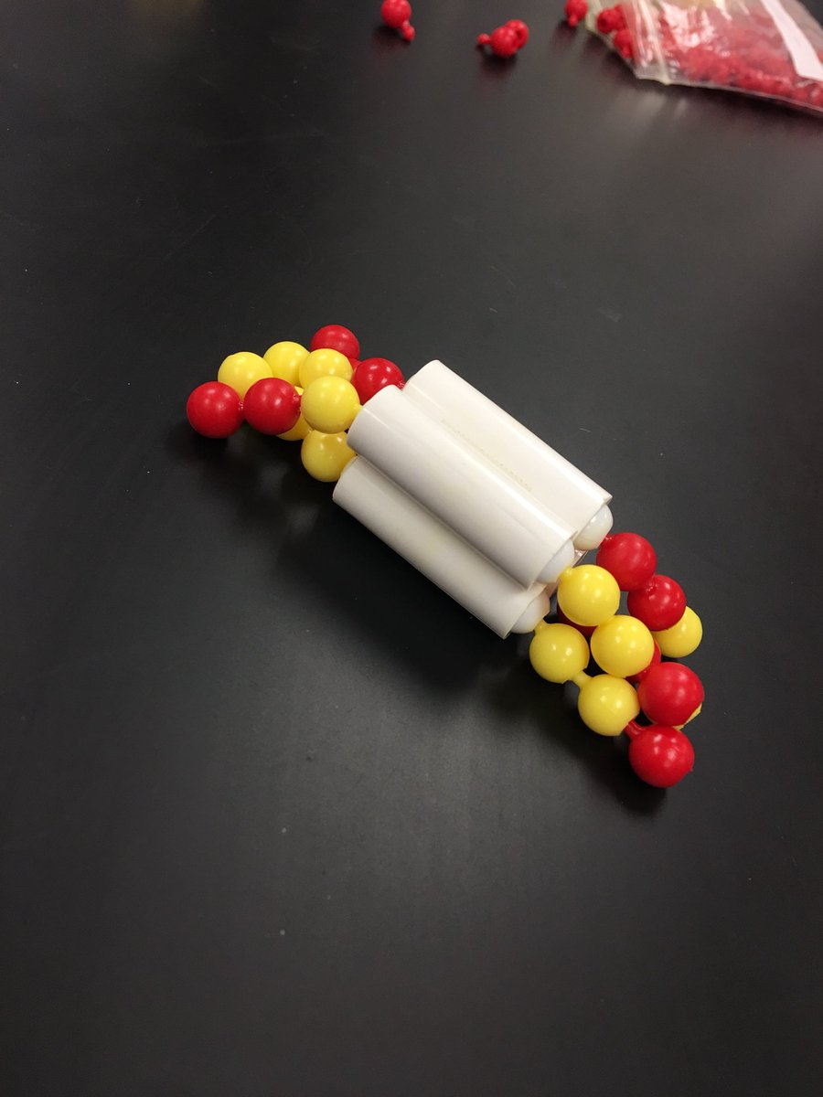 a_duncan10's tweet photo. A visual of the crossing over that happens during prophase 1 of meiosis! 🔀 @UNKBiol106AC #2018CummingsWeek10 https://t.co/fwBHdsUHJ6