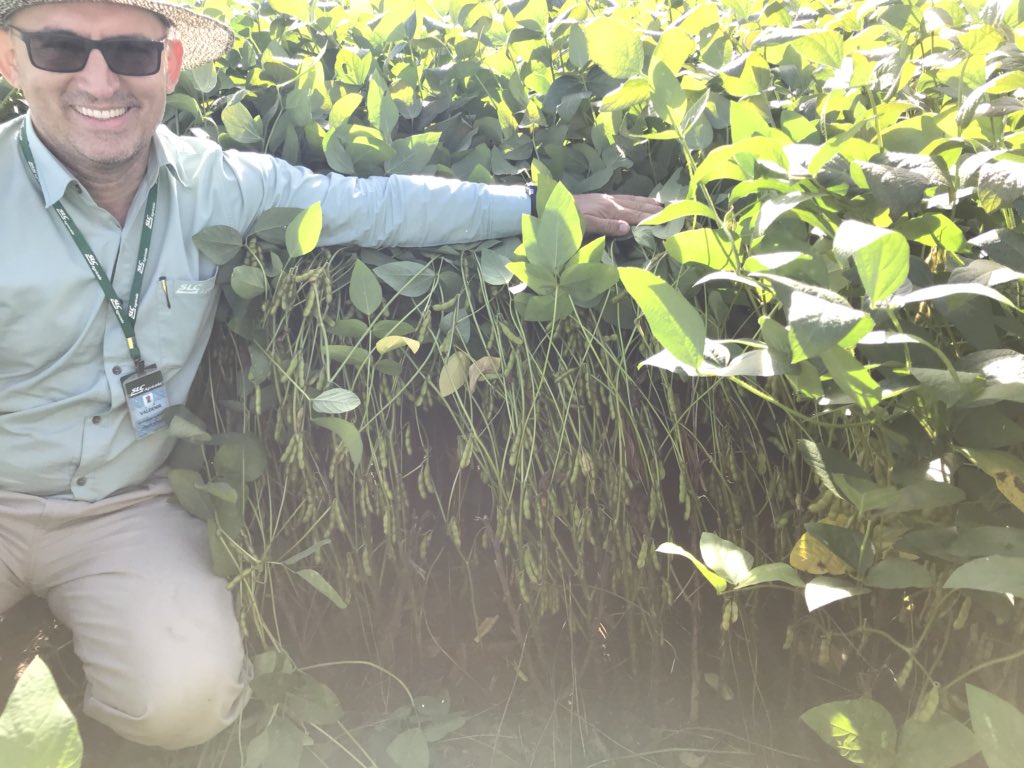 woolaroo5's tweet photo. Chao Chao #Brazil🇧🇷 what a great time with the #Kingsofsoja👑🌱 can’t wait till next time. #NuffieldAg #NuffieldBr https://t.co/TuU4RSTnpo
