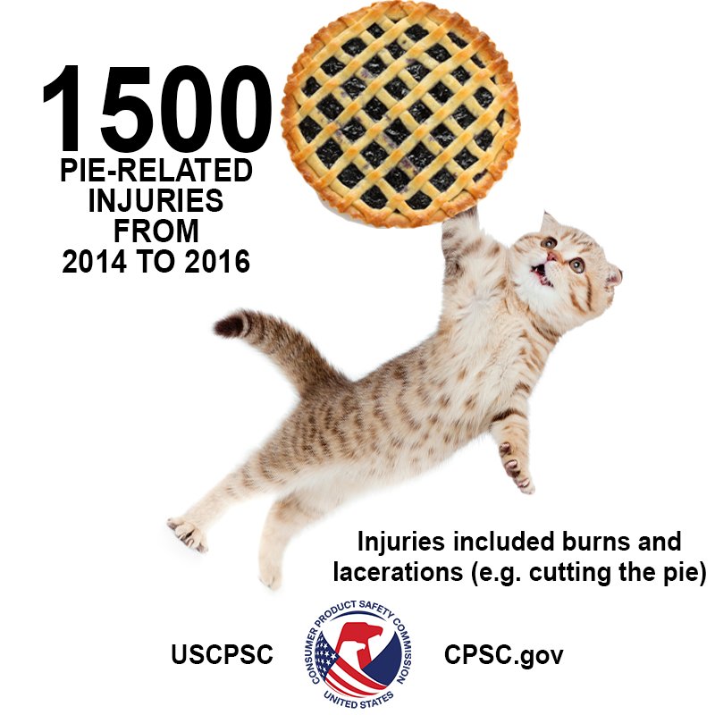 A picture of a cute cat catching a pie in its paw. The text reads, "There were about 1500 pie-related injuries from the year 2014 to the year 2016. Injuries included burns and lacerations (example - cutting the pie)."