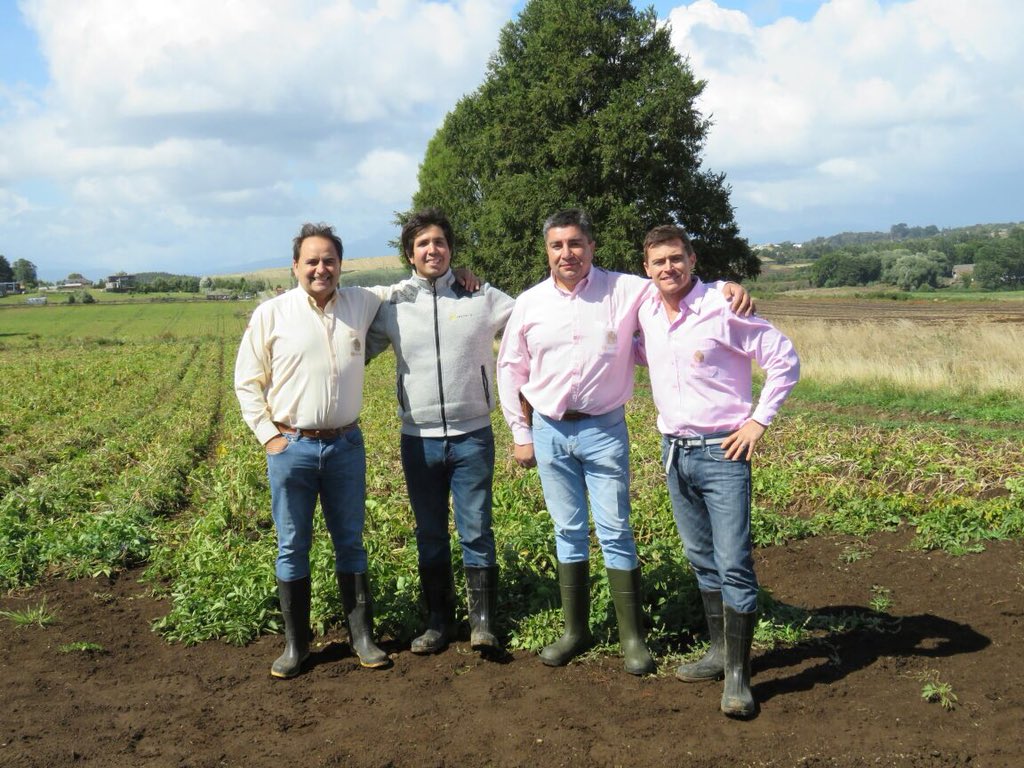 InveranCorp's tweet photo. Equipo de Inveran en evaluacion de campo en cultivo de 🥔 en el sector de Llanquihue con productor de @PepsiCoChile #Bioprotec #agriculture #biotech https://t.co/qHTSm4rVtX