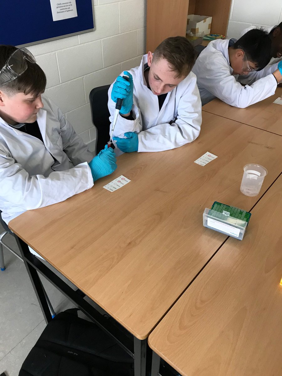 GriffeenCC's tweet image. Today our students got the opportunity to experience the world of biotechnology in the laboratory. Our students were throughly engaged using equipment provided by @abe_ireland @ucdscience to carry out practicals in Molecular Biology #STEM #DDLETBTEL #JCScience #FutureScientists