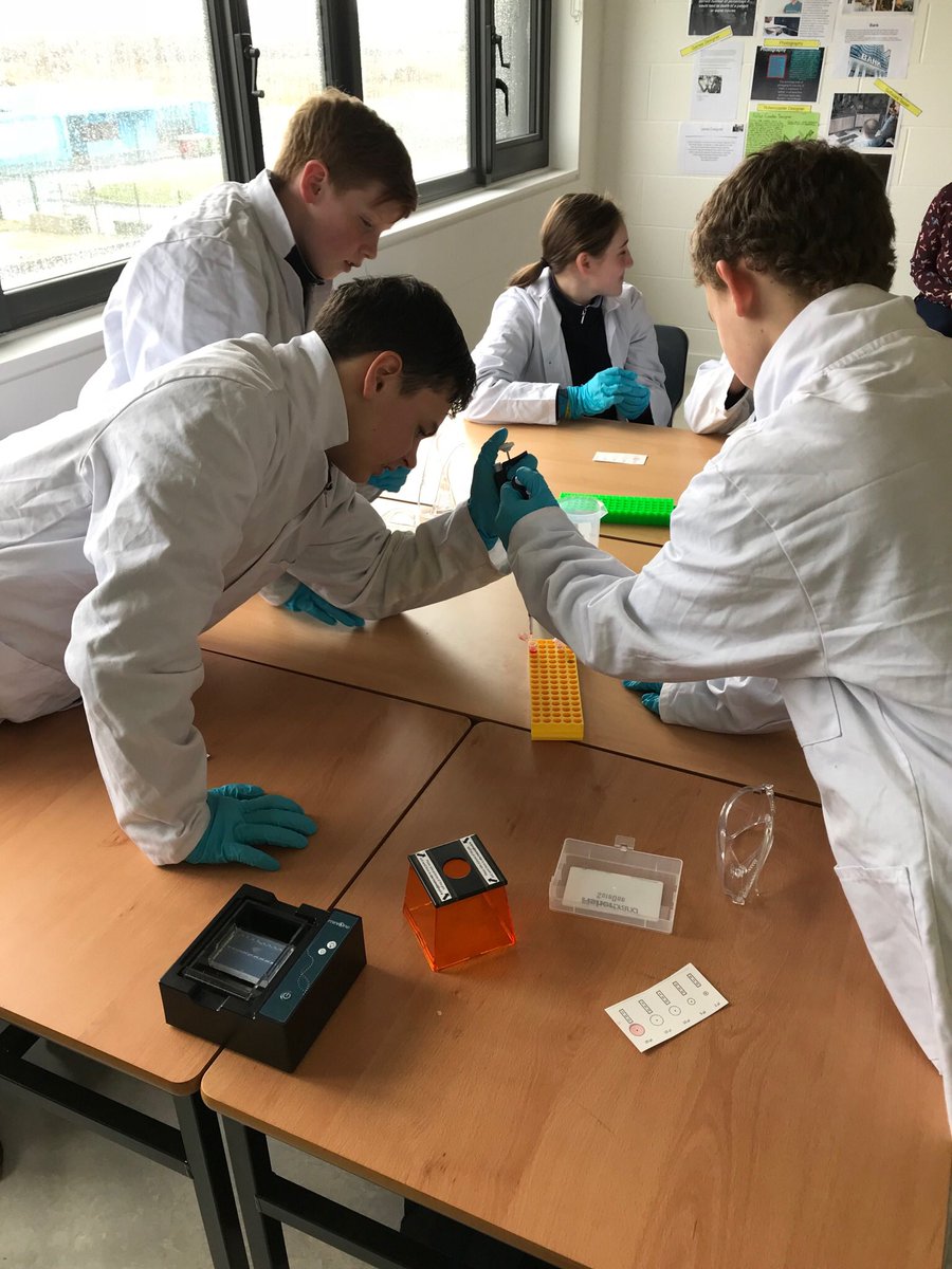 GriffeenCC's tweet image. Today our students got the opportunity to experience the world of biotechnology in the laboratory. Our students were throughly engaged using equipment provided by @abe_ireland @ucdscience to carry out practicals in Molecular Biology #STEM #DDLETBTEL #JCScience #FutureScientists