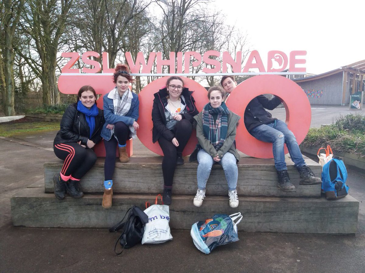 burt_imogen's tweet photo. Throw back to the trip looking at enclosure design @ZSLWhipsnadeZoo. Where I was able to clean out a chimpanzee enclosure, see training and being able to get up close and person with the rhino. Thanks to @Sparsholt_Coll was a great day with @TiaHigman @YewdallKay https://t.co/725U1NdHir