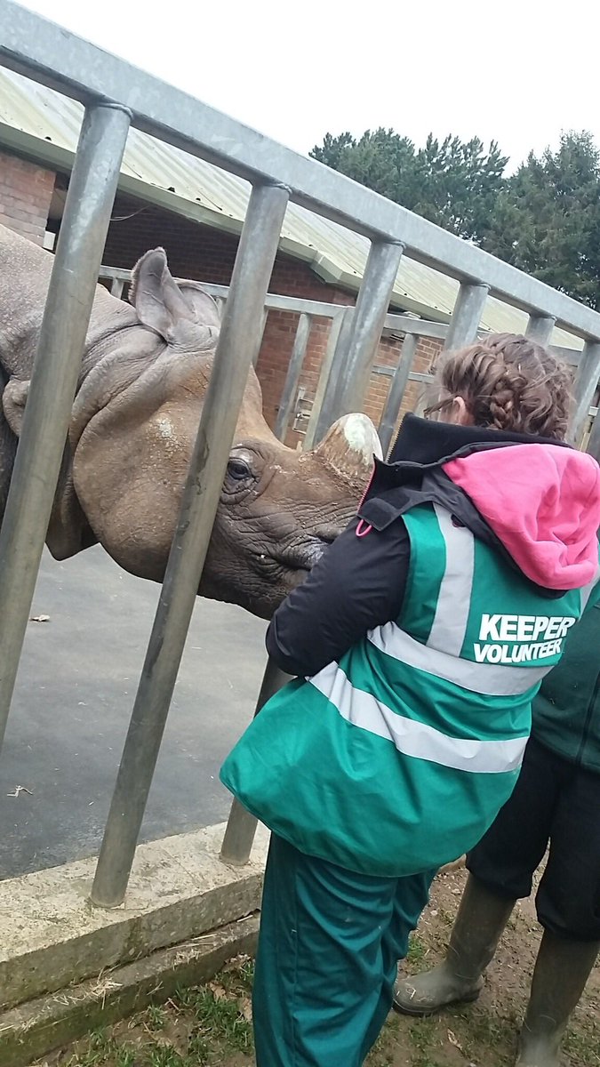 burt_imogen's tweet photo. Throw back to the trip looking at enclosure design @ZSLWhipsnadeZoo. Where I was able to clean out a chimpanzee enclosure, see training and being able to get up close and person with the rhino. Thanks to @Sparsholt_Coll was a great day with @TiaHigman @YewdallKay https://t.co/725U1NdHir