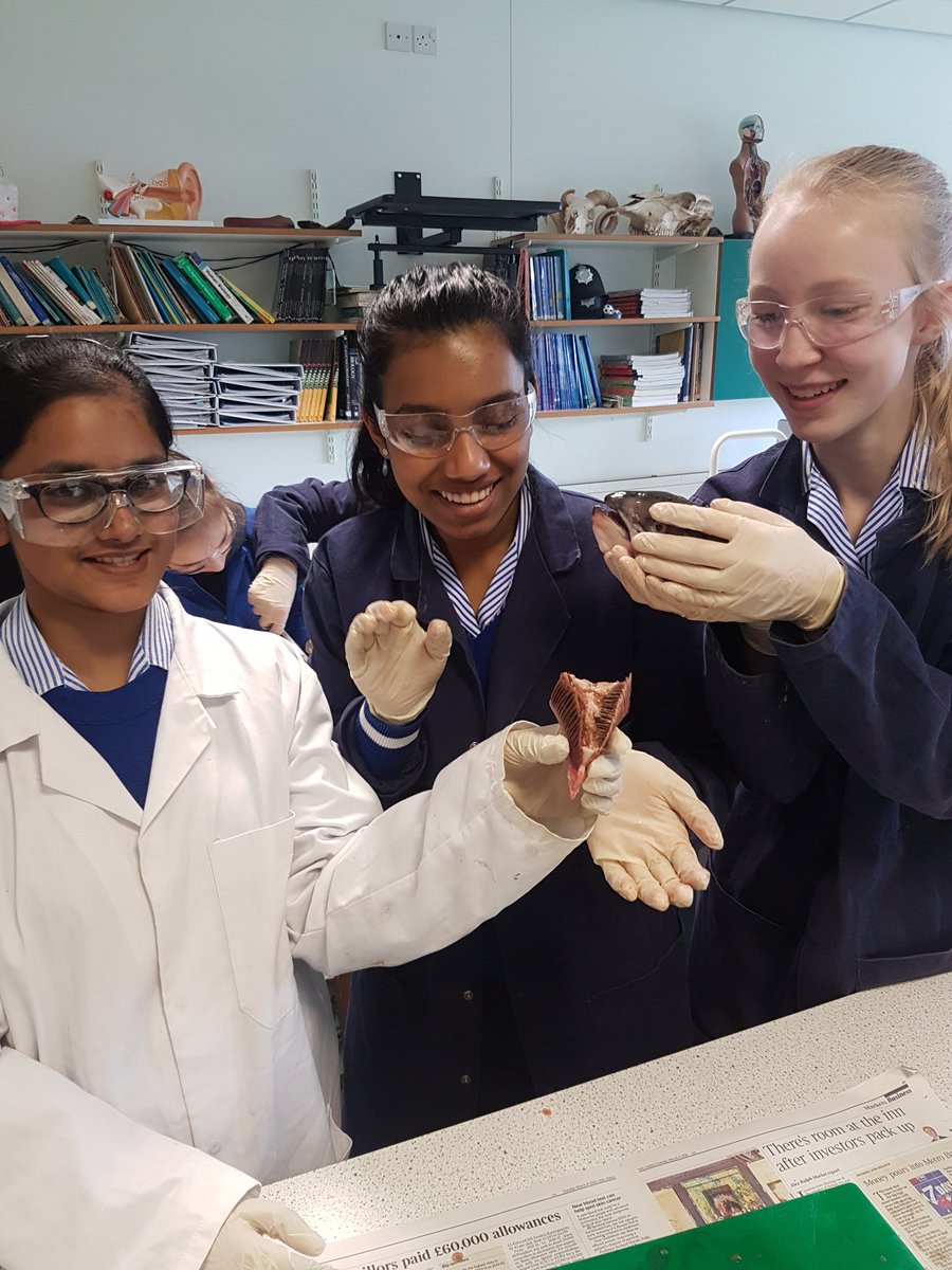 Another fantastic display of surgical skill today in Dissection Club...