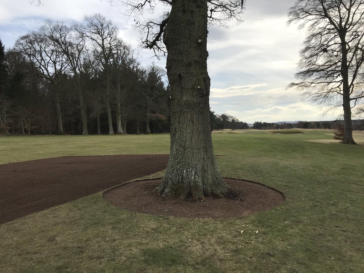 98Angus's tweet photo. Nice afternoon stripping some poor quality turf at the 1st. A light rotavation done , now ready for some new healthy turf. An area also cut around the oak for some fresh bark mulch #returf #RGC #firsthole @RGCgreenkeepers https://t.co/4XIE5kmAJm