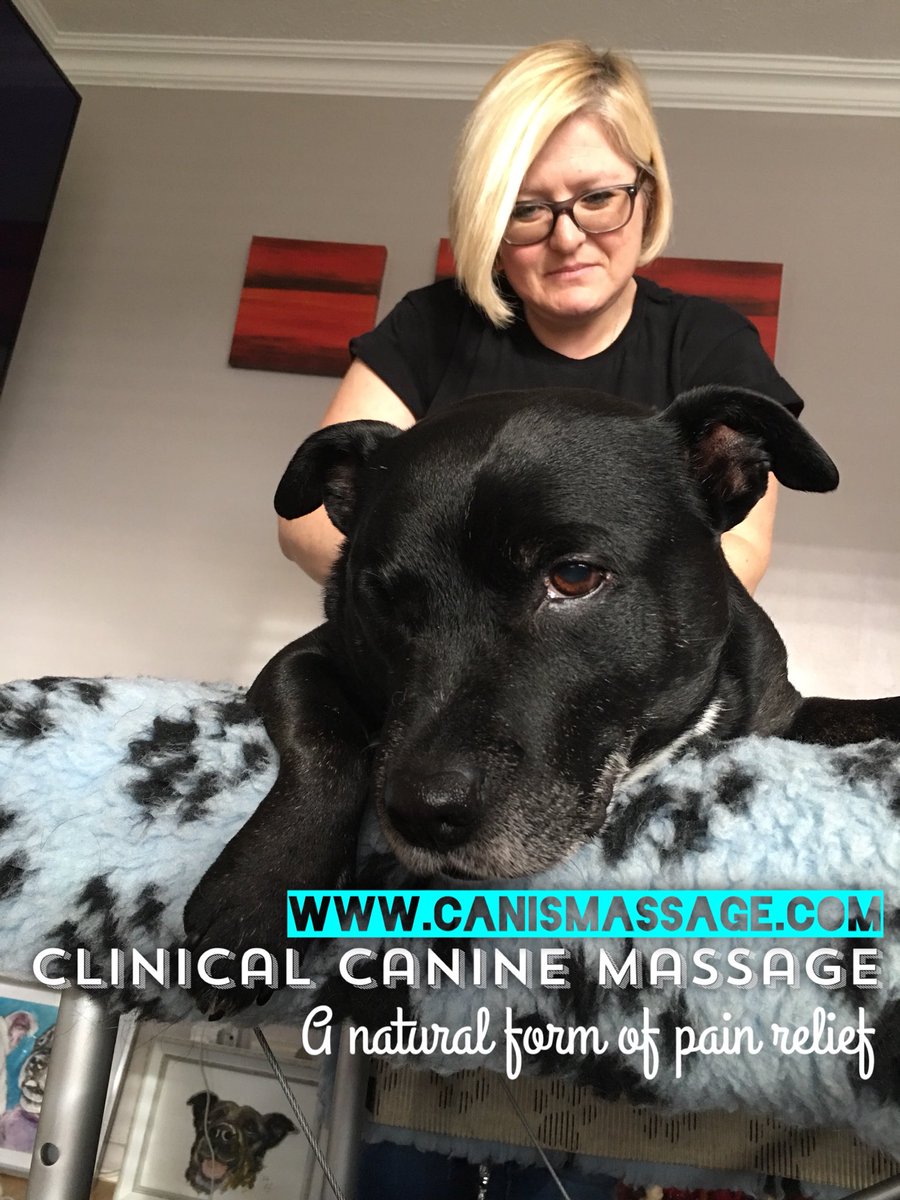 CanisMassage's tweet photo. #StaffordshireBullTerriers #massage #sportsmassage #lovedogs #dogsoftwitter https://t.co/sAnVv7XlVU