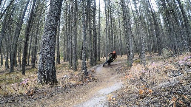 ElementalCycle's tweet photo. Dreaming of #Swansea laps.... soon...
-
-
Swanzee 👍
#bikelife #mtb
#hardtail #275plus #ridebikeseveryday 📷: @kingzarse https://t.co/w6pUAfdboB