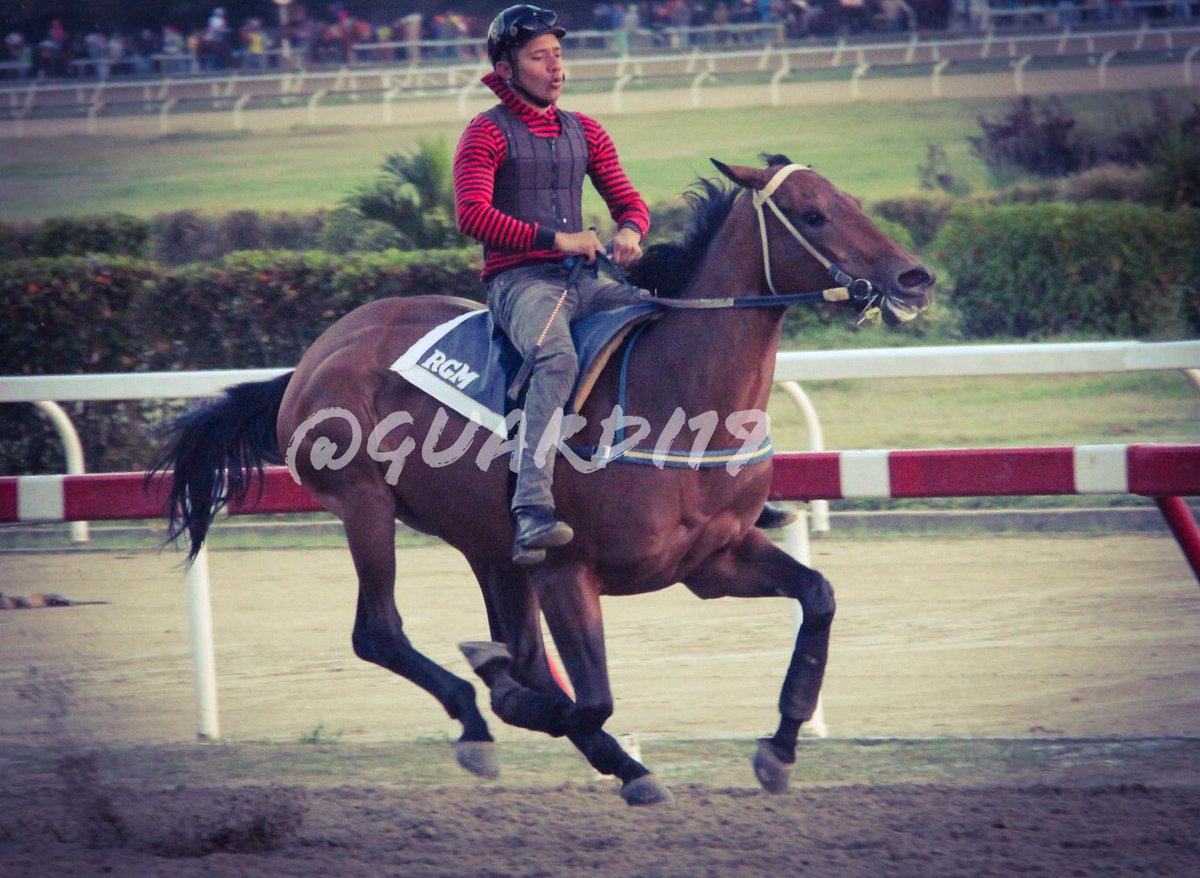 guardi19's tweet photo. #Hipismo VISIONARIA!!!  Se mantiene en el aire la hermana de La De Mercedes, en pleno ascenso la consentida de @RamonRamong26 #SeguimientoEnCancha Rumbo a mejores lotes en La Rinconada!!! https://t.co/7IYmST4W5c