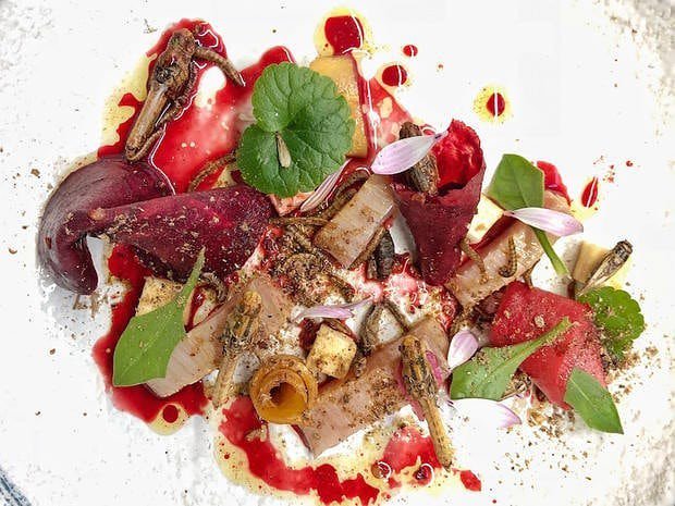 lifewithoh's tweet photo. Reposting @21bitesfoodvisions:
Ricciola con larve e grilli dello Chef @mishasukyas #21bites #findbitelove #firstineurope #mangiareinsetti #cucinaitaliana #foodporn #foodphotography #foodideas #foodielife #foodie #eeeeeats #edibleinsects #eatinginsects https://t.co/lvDZeAmluP