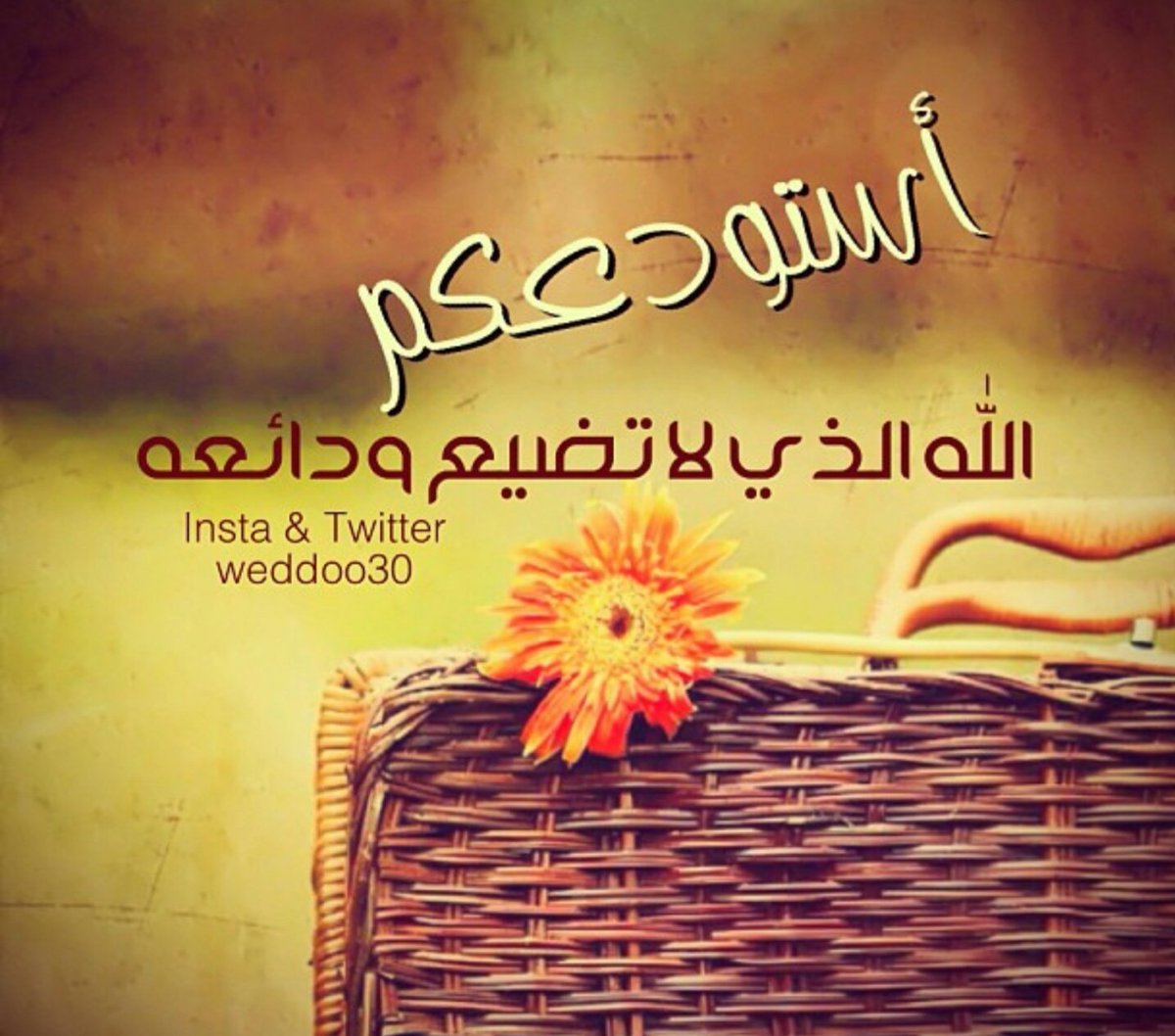 100___ss's tweet photo. مضطره للغياب .. ولنا عودة بمشيئة الله
وسأحمل معي بعضا من ذكرياتي التي اسعدتني وافرحتني، استبيحكم عذرا بالغياب حللوني وابيحوني وأنتم بألف حل اذكروني بالخير دعواتكم لي ولكم مني دعوه بظهر الغيب استودعتكم الله 🌹
.
#خروج 
#التـــــرف https://t.co/25yldEFT7c