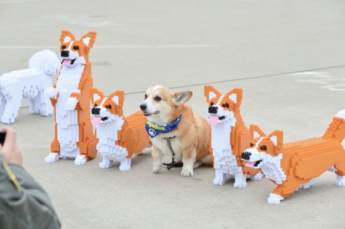 Casper Tech tweet media