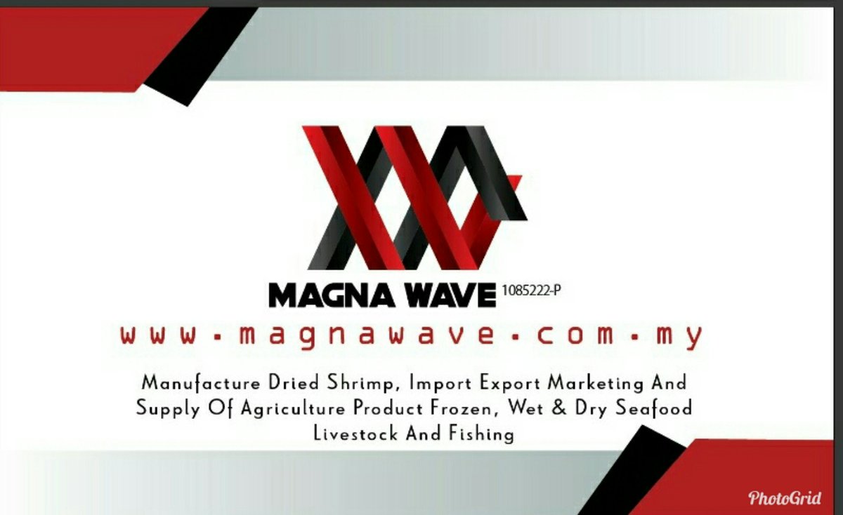 Magna Wave (magna_wave) Twitter