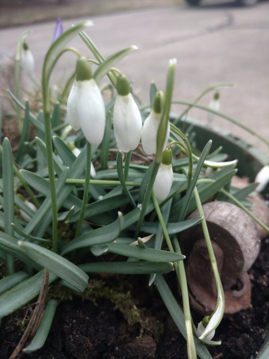 eyeNVewe's tweet photo. Spring is around the corner https://t.co/PoE9701vnq