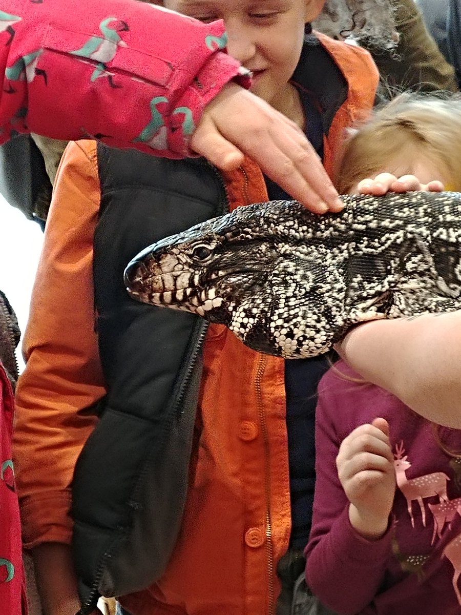 EastgateSquare's tweet photo. Come to @EastgateSquare's March Break event with @SafariScience at 2PM today!!! 

#HamOnt #SafariScience #Reptiles https://t.co/7q3Xf4Ilpo