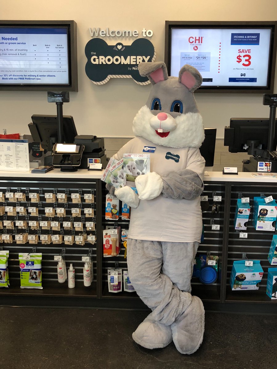 #BunnyInTheCity #HopOnOverForAGroom #GetASpringCleaning #TheGroomeryNyc