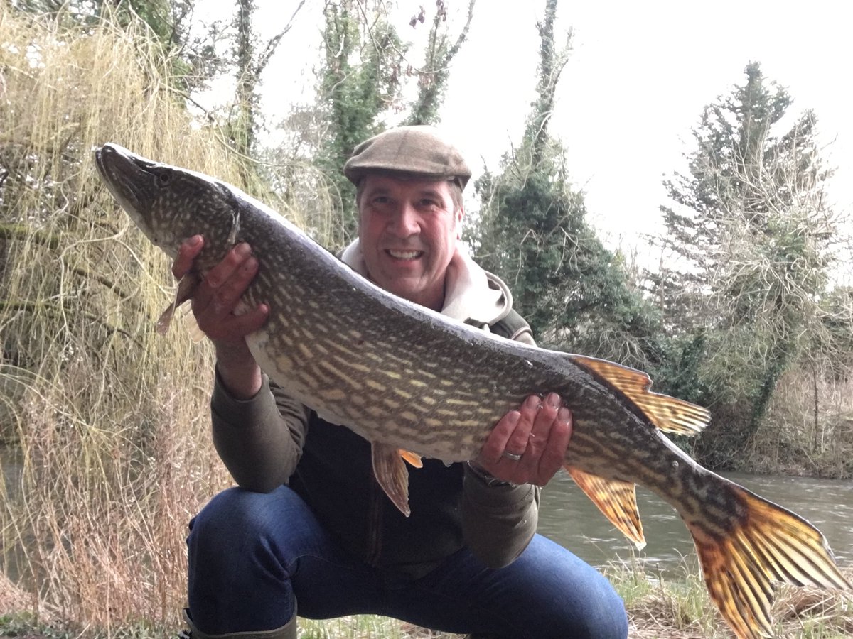 Nearly a 20lber but it’s still my pb pike, 19lb 15oz!!!!