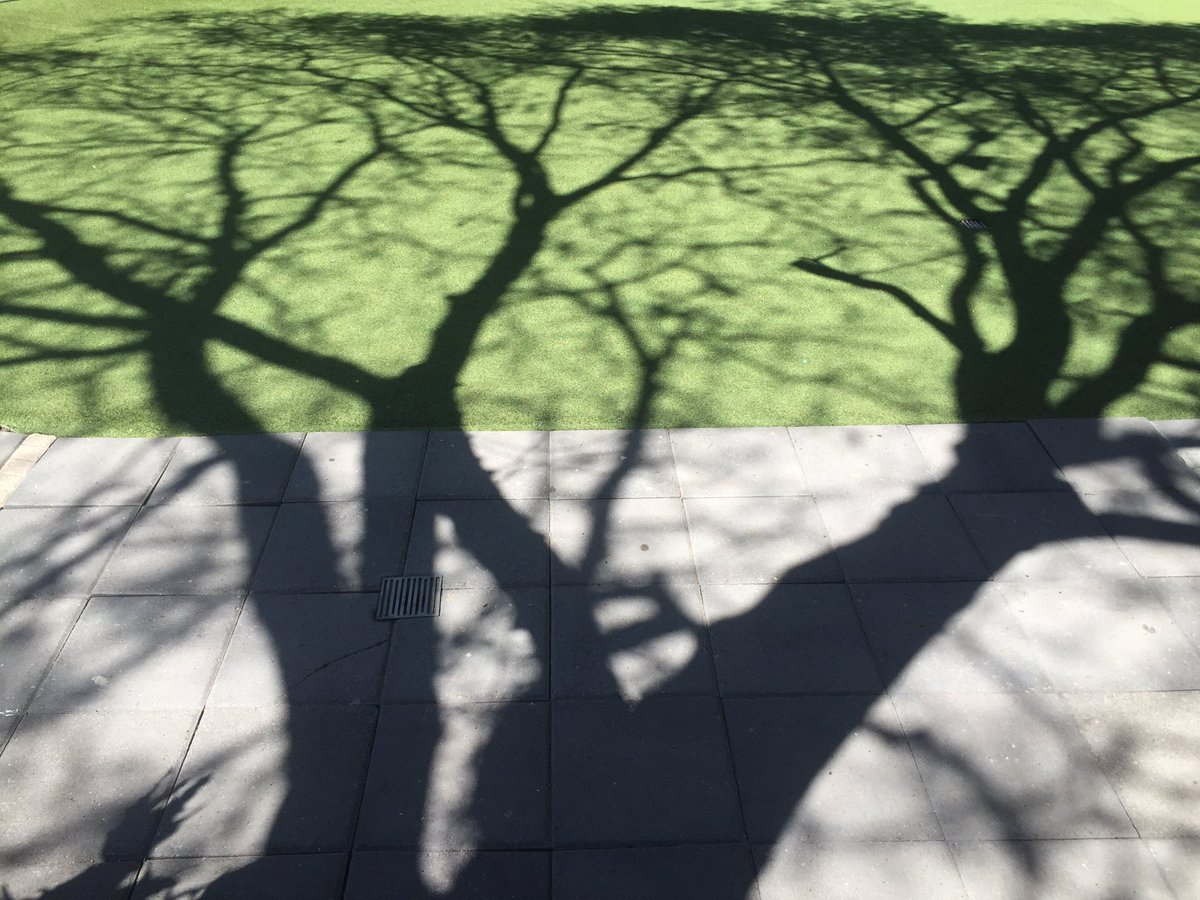 VSFPAISAJISMO's tweet photo. La primavera está por llegar https://t.co/j5JKbkKuva